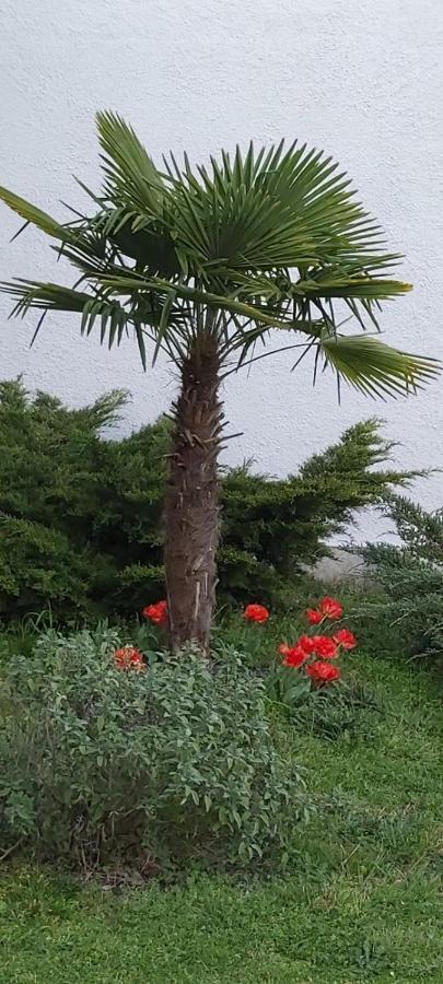 مبيت وإفطار Bourriot-Bergonce Les Eygletieres المظهر الخارجي الصورة